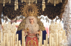 46789241085_dd2f2c280b_o